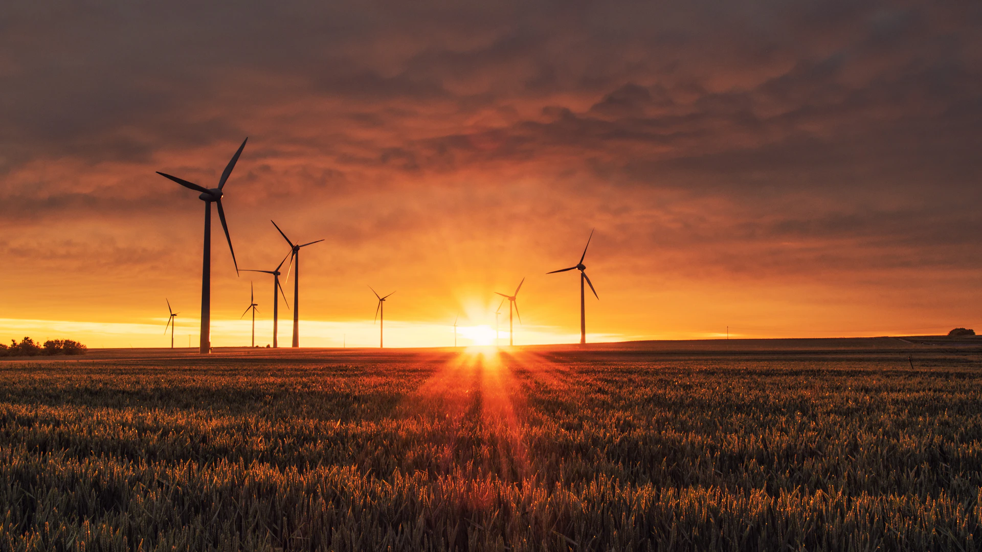 Wind turbine on a grass field at golden hour