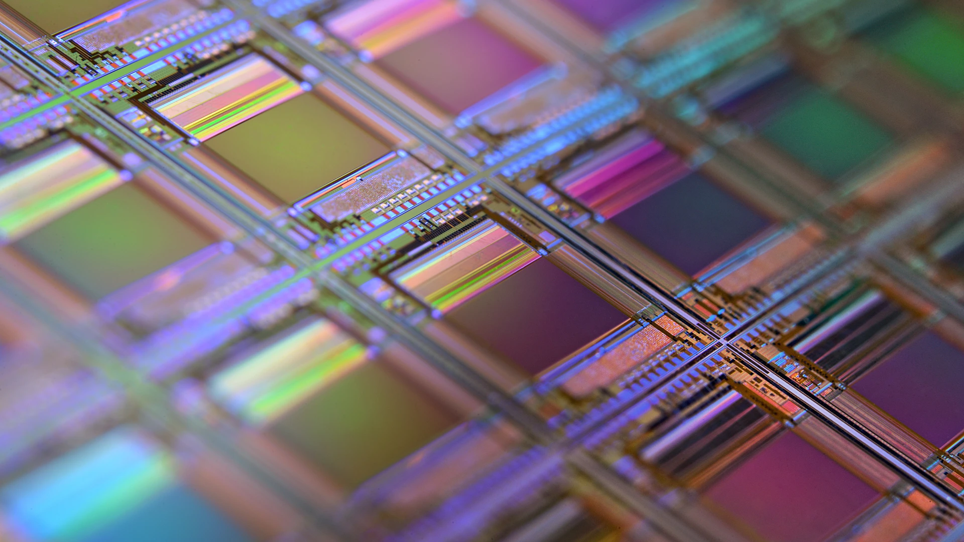 Silicon wafer with iridescent microchip dies