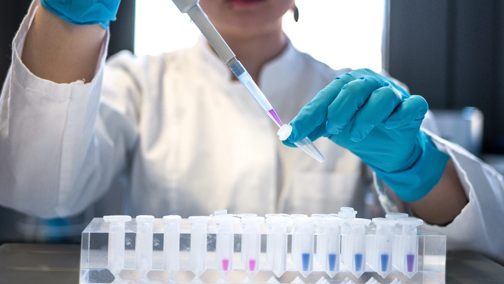 Scientist using a pipette with test tubes in a laboratory